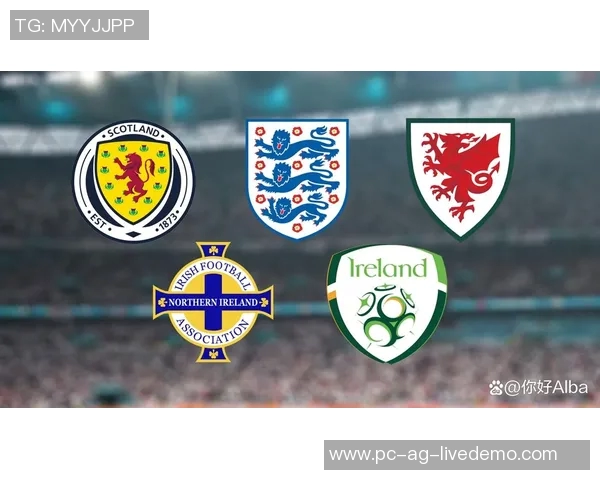 苏格兰足球联赛的历史演变与未来发展趋势探讨 苏格兰足球联赛的历史演变与未来发展趋势探讨