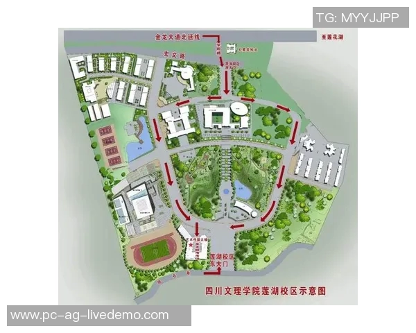 足球教练证书报考流程详解及注意事项指南